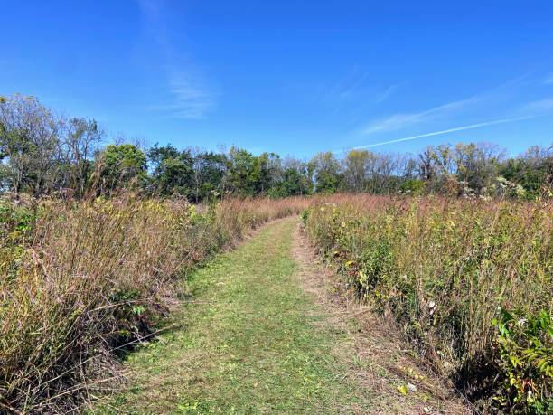 istock Olin-Turville Park in Madison, Wisconsin 2175935611