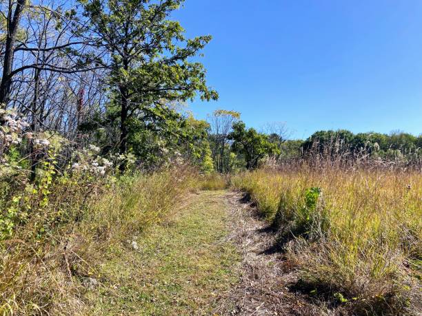 istock Olin-Turville Park in Madison, Wisconsin 2175935636