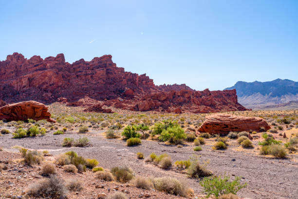 istock Valley of fire state park,, Nevada, USA 2175937679