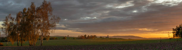 istock View for sunset evening sky from clover field with violet blossoms 2175939016