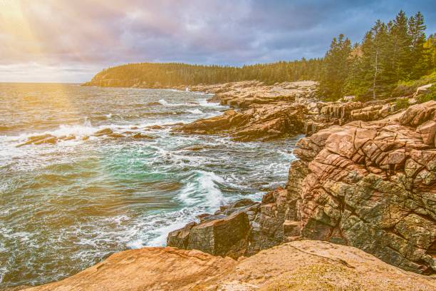 istock Ocean Path Trail, Acadia National Park 2175945850