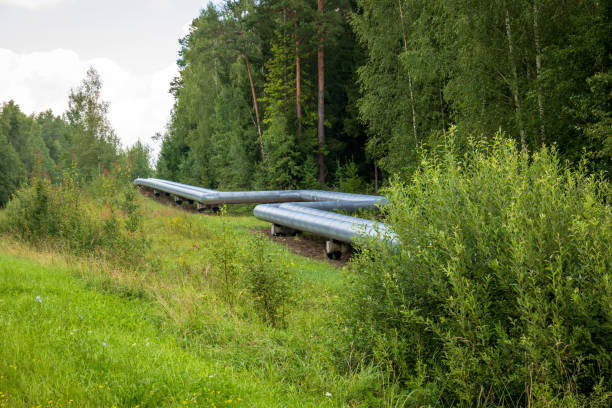 istock Heating water power supply pipe tube within natural enviroment 2175950019