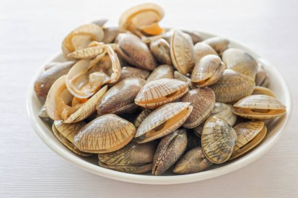 istock Fresh clams in white ceramic on white background 2175950488