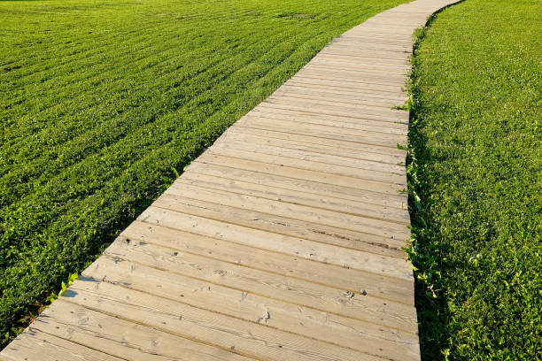 Timber boardwalk through the green grass lawn. landscape design element. Wooden path across green field.