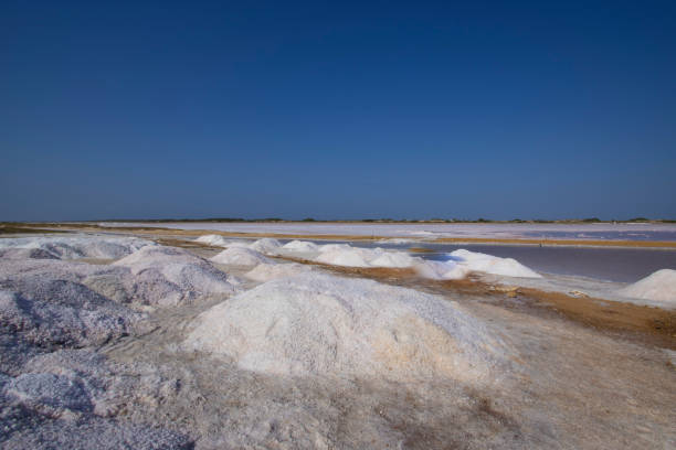 Open-air salt mine in Paraguana, Falcon State