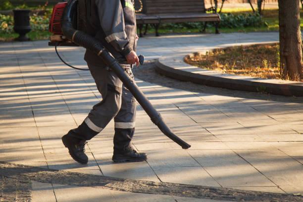 istock A man, a utility worker, removes leaves from the road with a special device. 2175959771