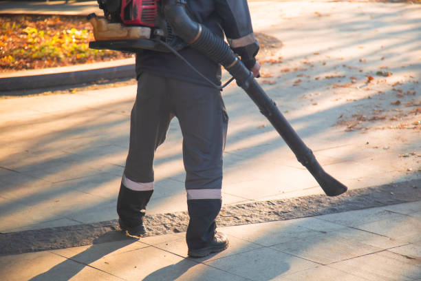 istock A man, a utility worker, removes leaves from the road with a special device. 2175959825