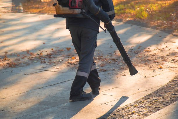 istock A man, a utility worker, removes leaves from the road with a special device. 2175960389
