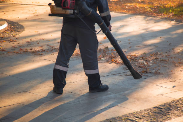 istock A man, a utility worker, removes leaves from the road with a special device. 2175960392
