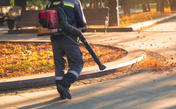 istock A man, a utility worker, removes leaves from the road with a special device. 2175960410