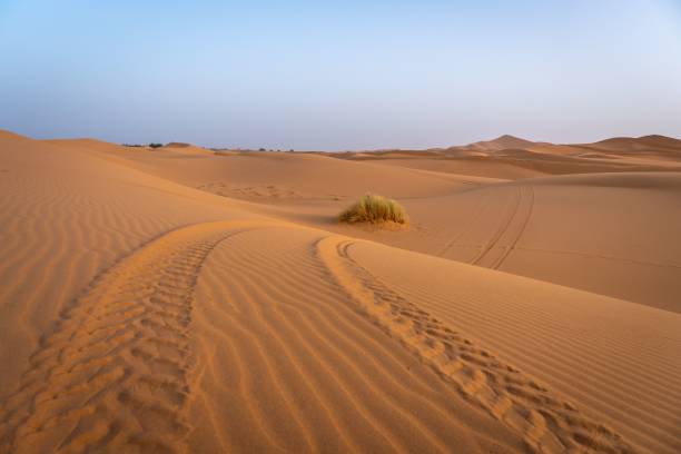 istock Serene desert landscape with sand dunes and vehicle tracks 2175964109