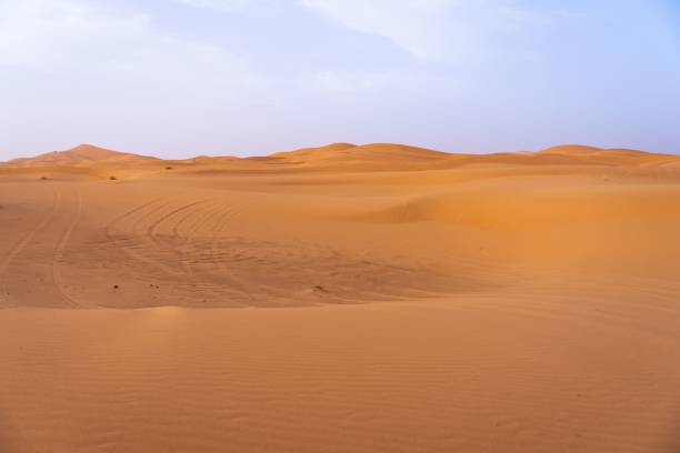 istock Golden sand dunes under a clear blue sky 2175964134