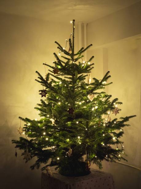 istock Cozy Christmas tree with handmade ornaments 2175965769