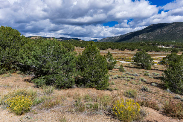 istock First Autumn Snow on the Collegiant Mountain Range in Colorado 2175966561