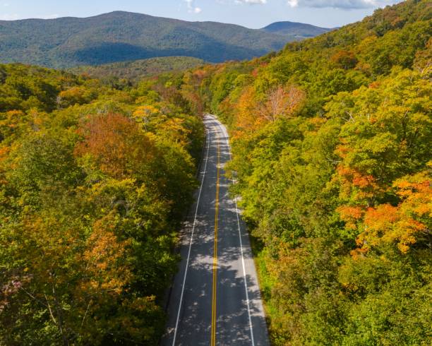 istock Scenic road through autumn forest 2175967614