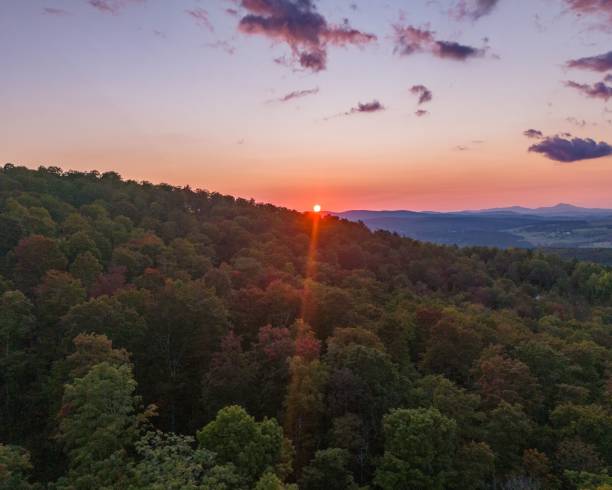 istock Serene sunset over lush forest and hills 2175967623