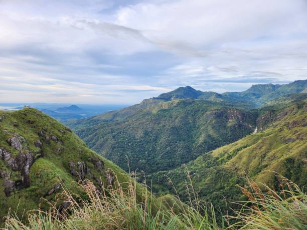 istock Panoramic view of lush green mountains under a partly cloudy sky 2175968240