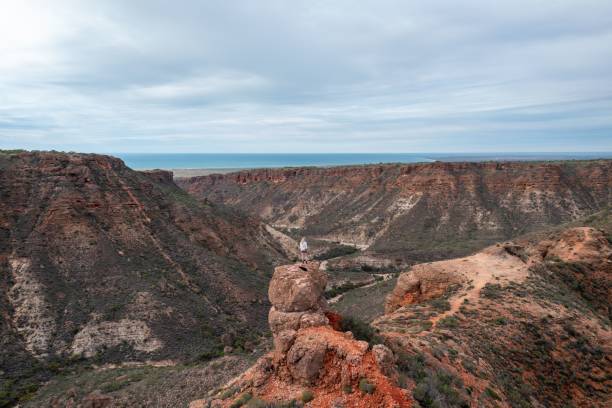 istock Person standing on rock formation overlooking canyon and ocean. 2175968648