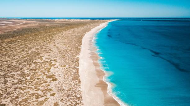 istock Aerial view of pristine coastline with turquoise waters 2175968703
