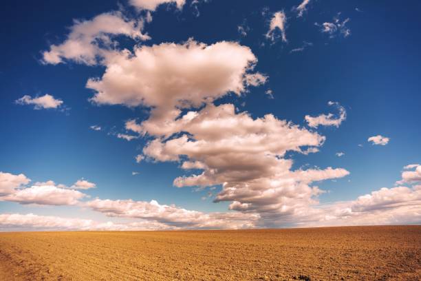 Kazakhstan desertic landscape, Senek town area, Mangystau region. Central Asia landscape