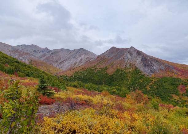 istock Mountain landscape with autumn foliage under cloudy sky 2175969926