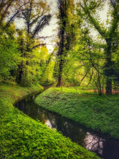 istock Serene forest scene with winding stream 2175971816