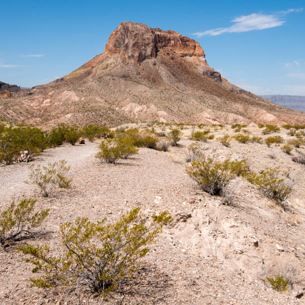 istock Big Bend National Park Texas 2175973709