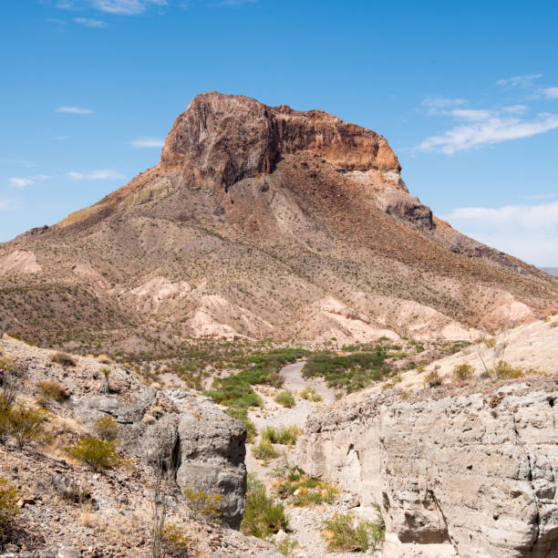 istock Big Bend National Park Texas 2175973814