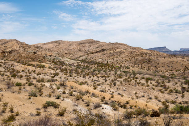 istock Big Bend National Park Texas 2175973996