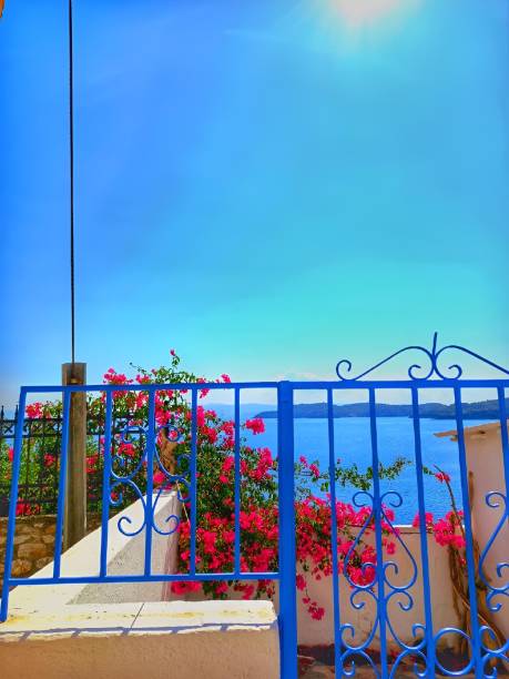 istock Blue gate with pink flowers overlooking the sea. 2175975012