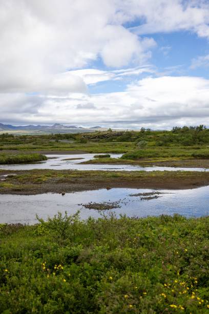 istock Lush meadow with a winding stream under a cloudy sky 2175975572