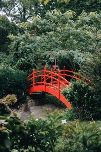istock Red bridge in a lush garden 2175977272
