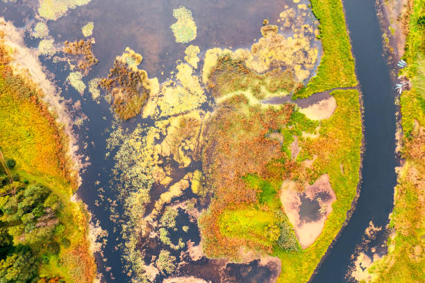 istock Abstract image of a marshy area from a bird's eye view. 2175980288
