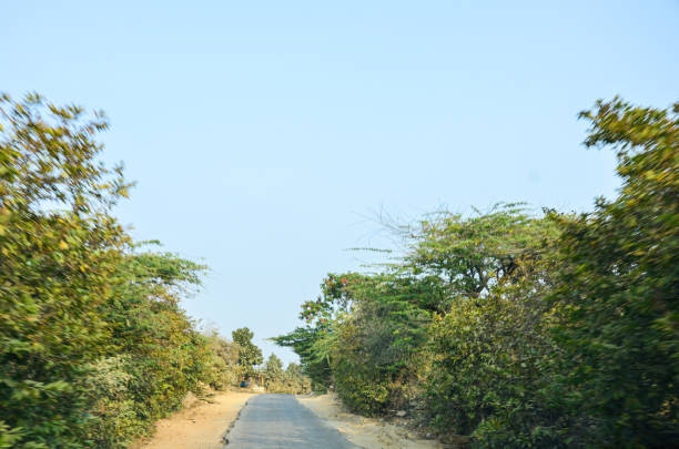 istock A village road in Rajasthan, India 2175983377