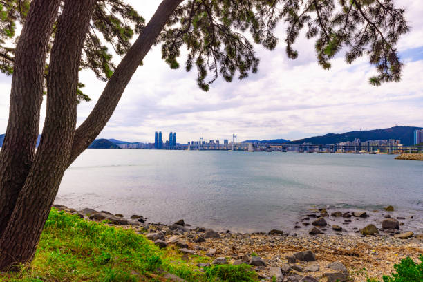 View from Oryukdo Island in Busan