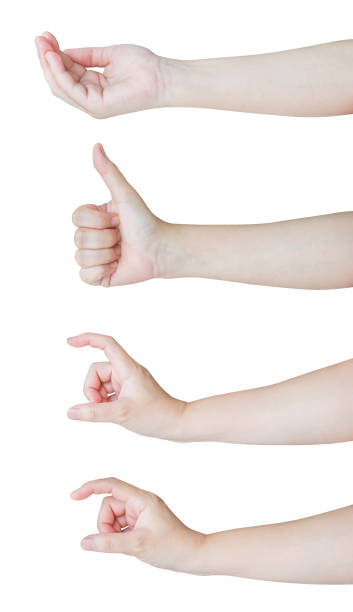 istock Woman hand gesture holding something set isolated on white background 2176001230
