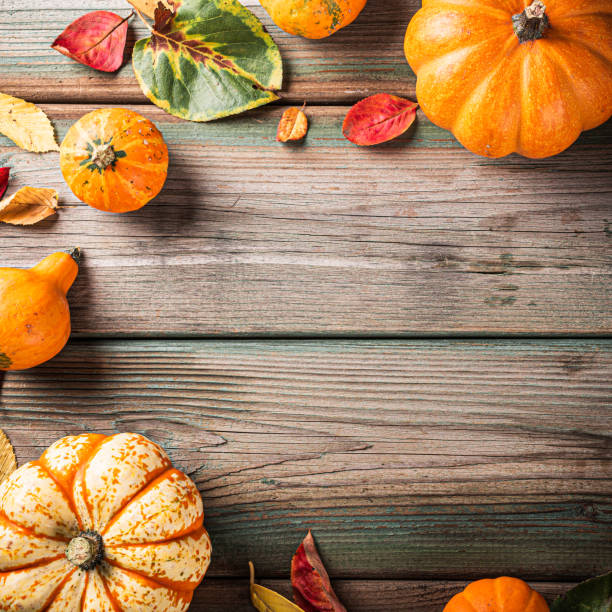 istock Autumn pumpkin thanksgiving background 2176001861