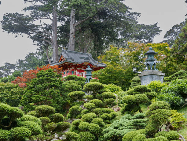 September 7, 2024: authentic red Japanese temple in the autumn garden in Golden Gate park of San Francisco, the United States of America
