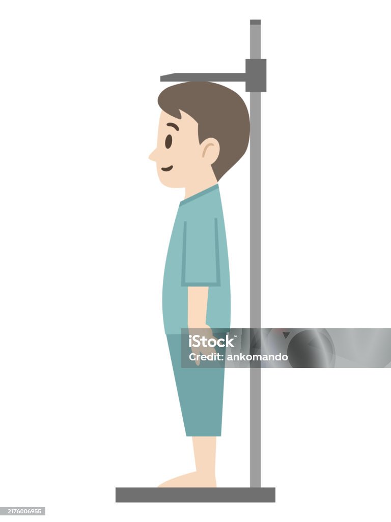 Height Measuremnet Height Measurement Simple Vector Illustration Stock Illustration ...