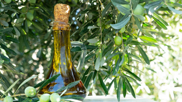 istock olive oil at Olive Garden 2176007049