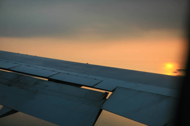 landscape during flight