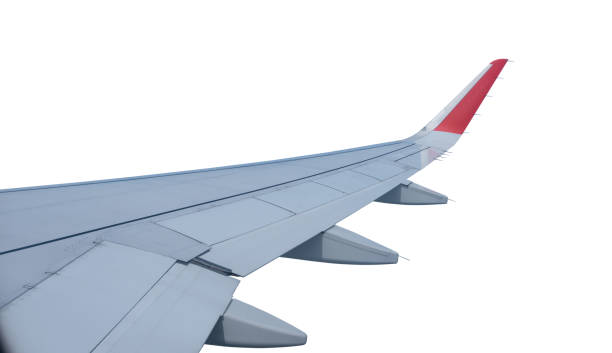 istock Airplane wing isolated on white background, clipping path 2176013958