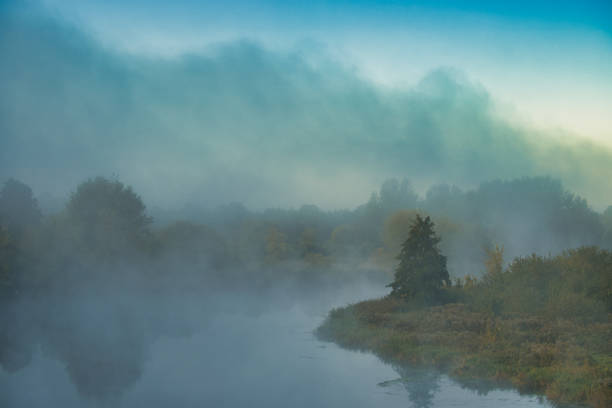 Misty morning landscape featuring a tranquil river with lush greenery and trees reflected in the calm water, creating a serene and peaceful atmosphere.