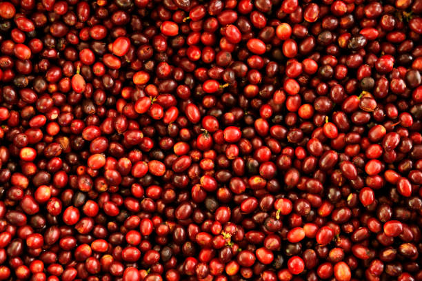 istock close up of fresh coffee beans 2176038922