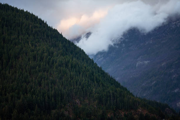 A dark and cold Autumn morning in North Cascades National Park, Washington state, USA. Tall mountains, forests and emerald lake water shows a classic Pacific Northwest scene in the fall time.