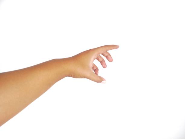istock Hand gesture grab sign, hand grab empty space gesture. Human hand in picking gesture isolate on white background 2176043255
