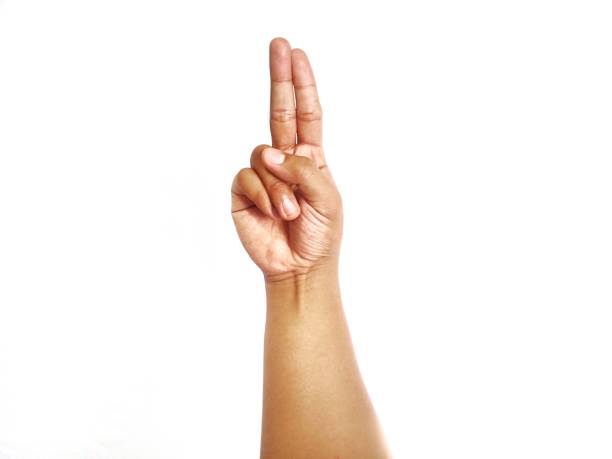 istock Deaf alphabet letter U by hand. Letter 'U' in sign language, isolated on a white background. Hand gestures. languages that use visual manual modality. Deaf Sign. 2176043627