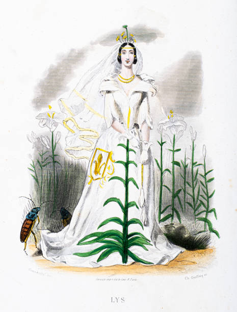 Stunning Hand-colored plate from 