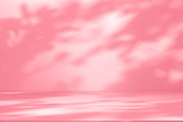 istock Wall interior background, studio, and backdrops show products. with shadow from window color white and pink light. background for text insertion and presentation of product 2176044659