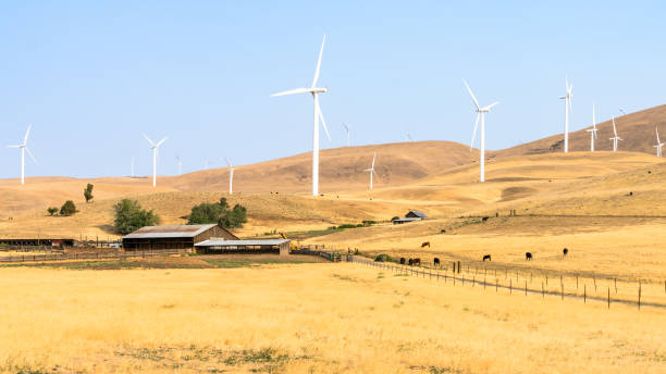 Wind farm located on a cattle ranch in rural Alberta Canada